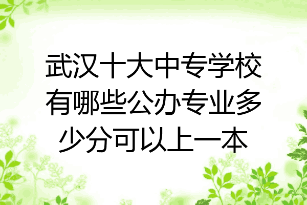 武汉十大中专学校有哪些公办专业多少分可以上一本