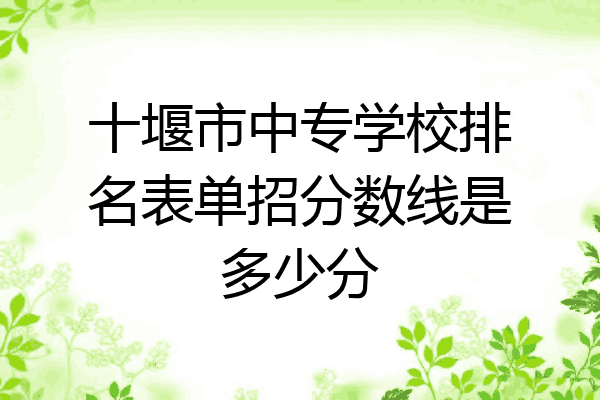 十堰市中专学校排名表单招分数线是多少分