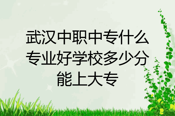 武汉中职中专什么专业好学校多少分能上大专