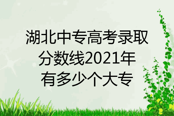 湖北中专高考录取分数线2021年有多少个大专