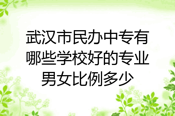 武汉市民办中专有哪些学校好的专业男女比例多少