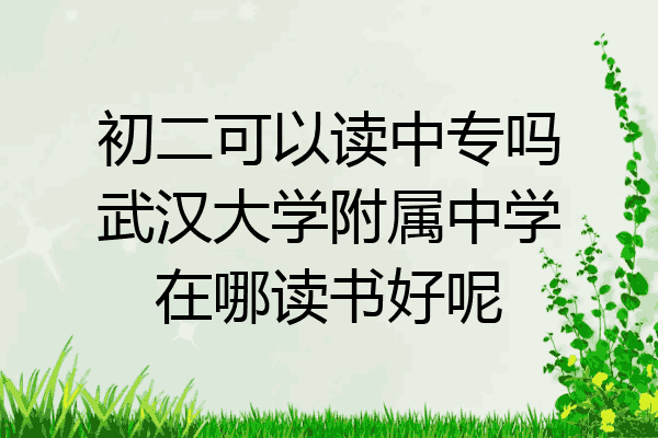 初二可以读中专吗武汉大学附属中学在哪读书好呢