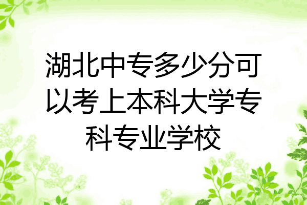 湖北中专多少分可以考上本科大学专科专业学校