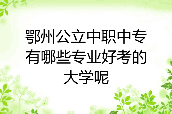 鄂州公立中职中专有哪些专业好考的大学呢