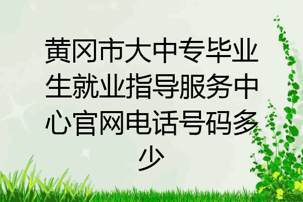 黄冈市大中专毕业生就业指导服务中心官网电话号码多少