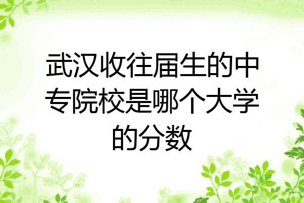 武汉收往届生的中专院校是哪个大学的分数