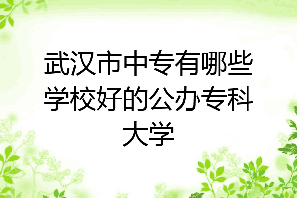 武汉市中专有哪些学校好的公办专科大学