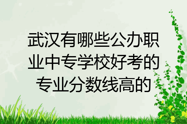 武汉有哪些公办职业中专学校好考的专业分数线高的