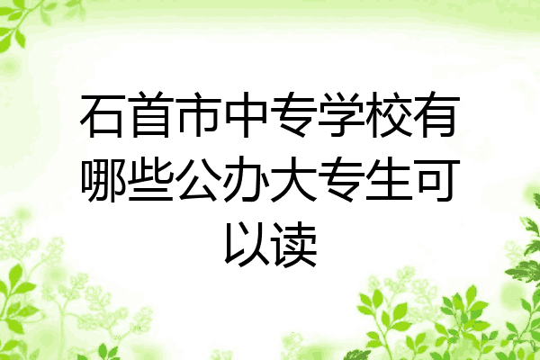 石首市中专学校有哪些公办大专生可以读