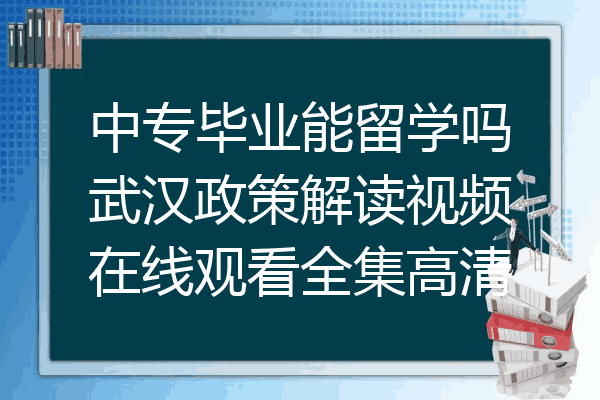 中专毕业能留学吗武汉政策解读视频在线观看全集高清