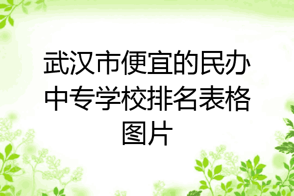 武汉市便宜的民办中专学校排名表格图片