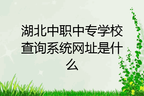 湖北中职中专学校查询系统网址是什么