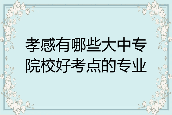 孝感有哪些大中专院校好考点的专业