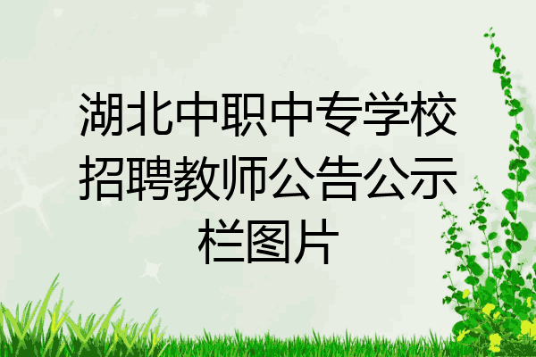 湖北中职中专学校招聘教师公告公示栏图片