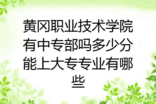 黄冈职业技术学院有中专部吗多少分能上大专专业有哪些