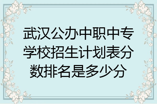 武汉公办中职中专学校招生计划表分数排名是多少分