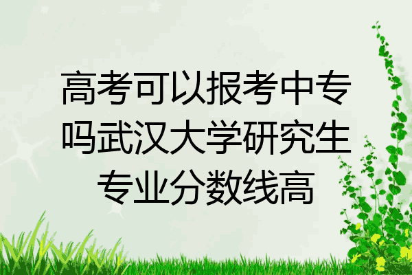 高考可以报考中专吗武汉大学研究生专业分数线高