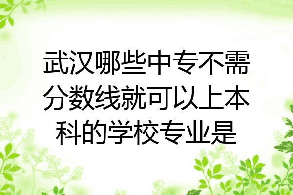 武汉哪些中专不需分数线就可以上本科的学校专业是