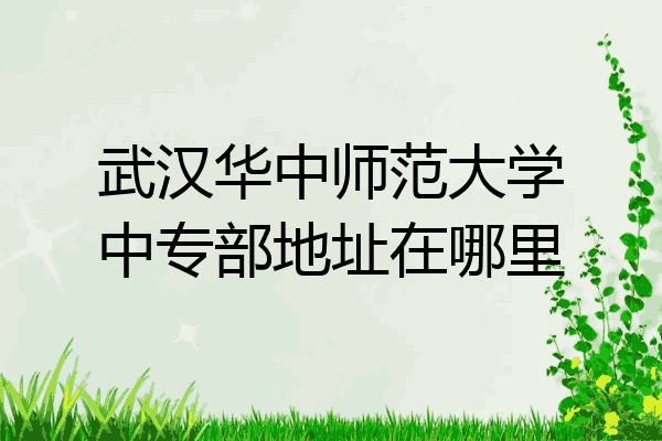 武汉华中师范大学中专部地址在哪里