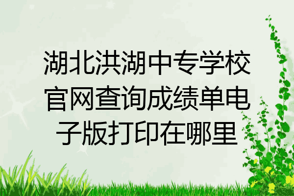 湖北洪湖中专学校官网查询成绩单电子版打印在哪里