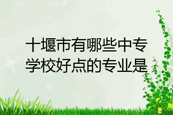 十堰市有哪些中专学校好点的专业是