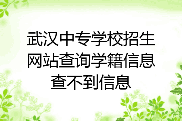 武汉中专学校招生网站查询学籍信息查不到信息