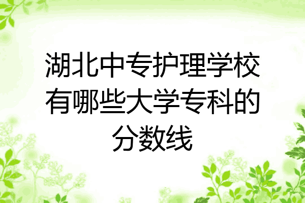 湖北中专护理学校有哪些大学专科的分数线