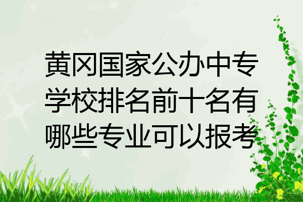 黄冈国家公办中专学校排名前十名有哪些专业可以报考