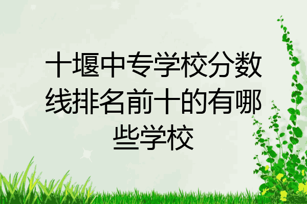十堰中专学校分数线排名前十的有哪些学校