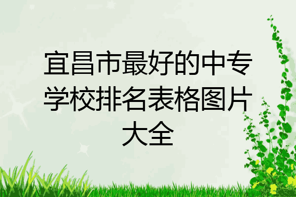 宜昌市最好的中专学校排名表格图片大全