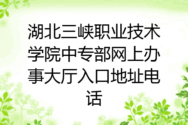 湖北三峡职业技术学院中专部网上办事大厅入口地址电话