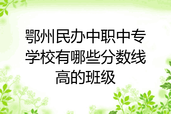 鄂州民办中职中专学校有哪些分数线高的班级