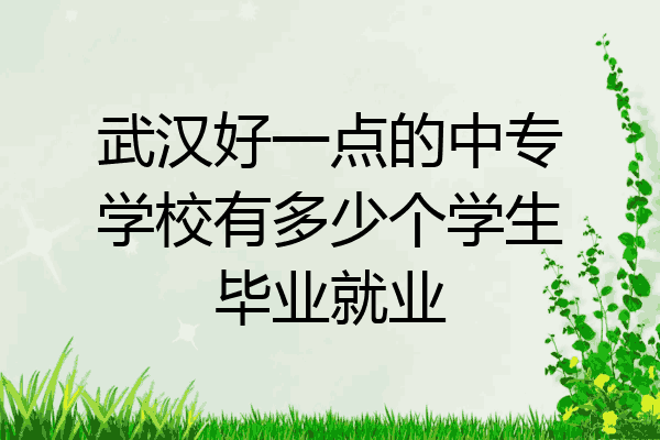 武汉好一点的中专学校有多少个学生毕业就业