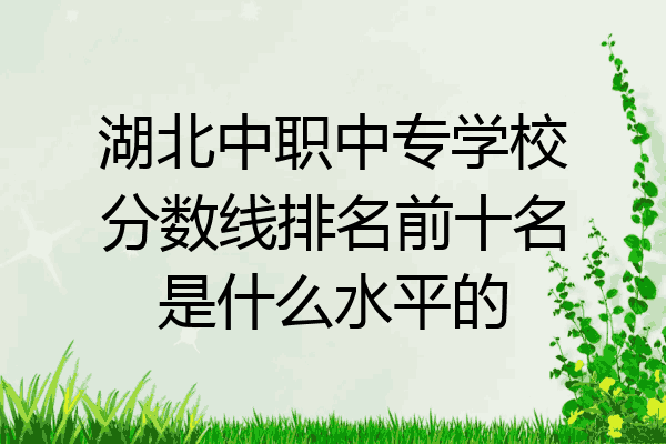 湖北中职中专学校分数线排名前十名是什么水平的