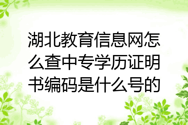 湖北教育信息网怎么查中专学历证明书编码是什么号的