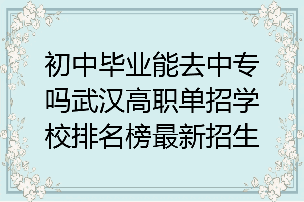 初中毕业能去中专吗武汉高职单招学校排名榜最新招生