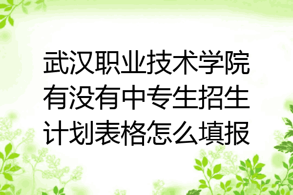 武汉职业技术学院有没有中专生招生计划表格怎么填报