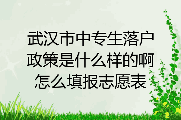 武汉市中专生落户政策是什么样的啊怎么填报志愿表
