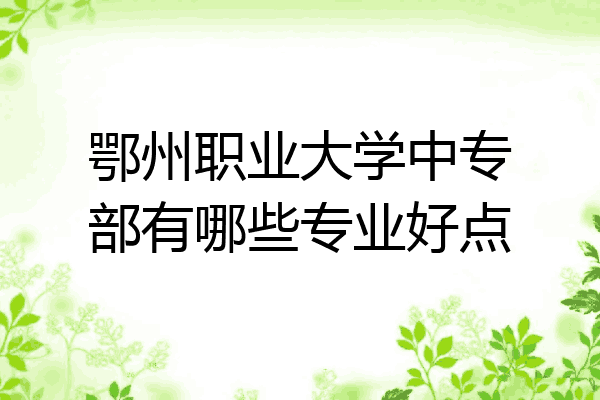 鄂州职业大学中专部有哪些专业好点