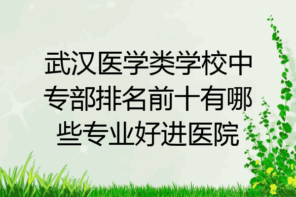 武汉医学类学校中专部排名前十有哪些专业好进医院