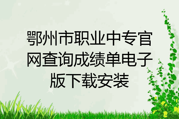 鄂州市职业中专官网查询成绩单电子版下载安装