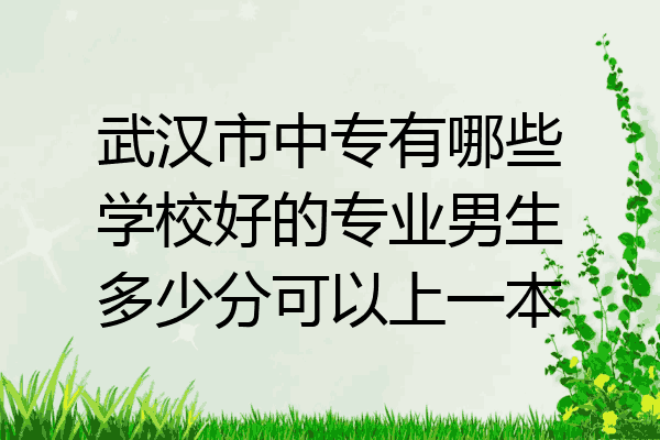 武汉市中专有哪些学校好的专业男生多少分可以上一本