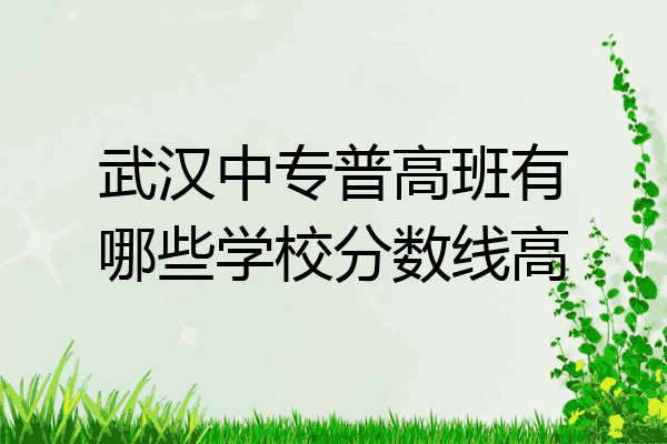 武汉中专普高班有哪些学校分数线高