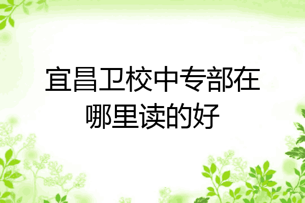 宜昌卫校中专部在哪里读的好