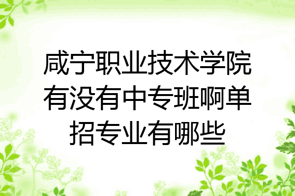咸宁职业技术学院有没有中专班啊单招专业有哪些