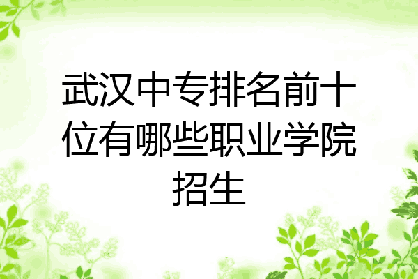武汉中专排名前十位有哪些职业学院招生