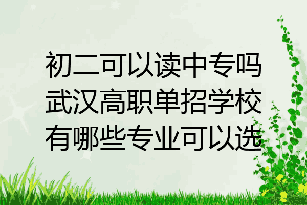初二可以读中专吗武汉高职单招学校有哪些专业可以选