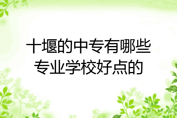 十堰的中专有哪些专业学校好点的