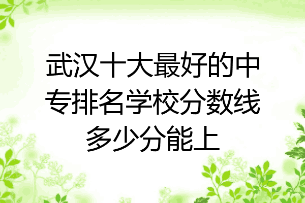 武汉十大最好的中专排名学校分数线多少分能上