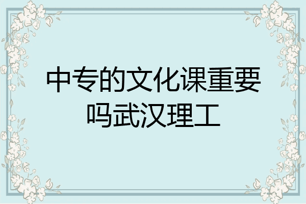 中专的文化课重要吗武汉理工